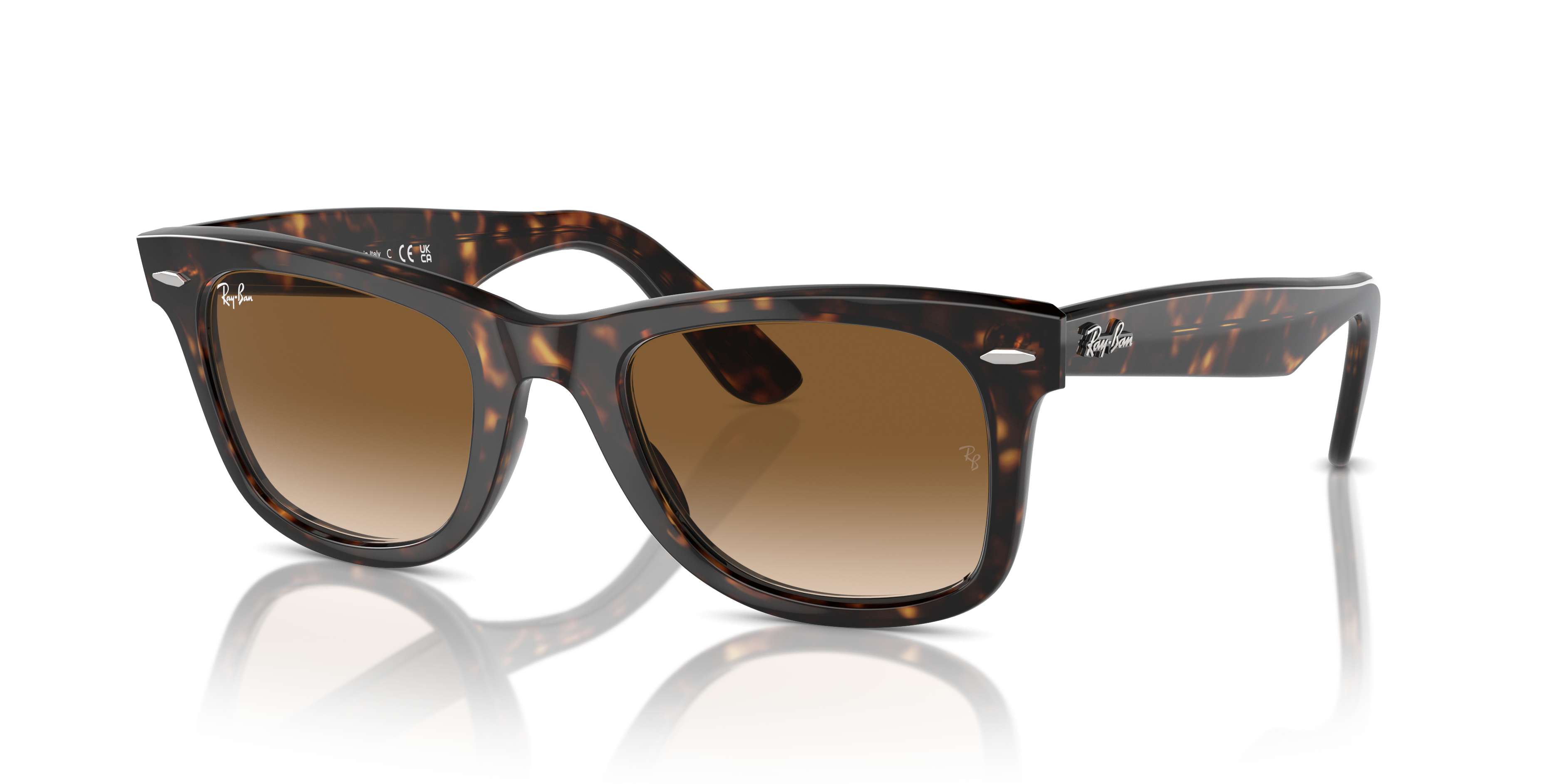 ORIGINAL WAYFARER CLASSIC Sunglasses in Tortoise and Light Brown