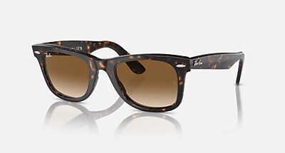 ORIGINAL WAYFARER CLASSIC Sunglasses in Black and G-15 Green
