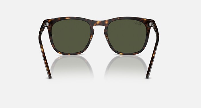 RB2210 Sunglasses in Havana and Green (53-21) - RB2210F | Ray-Ban® US