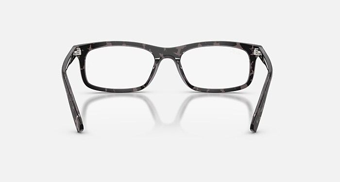 RB5450 OPTICS メガネ ハバナグレー と クリア (54-19) - RB5450F