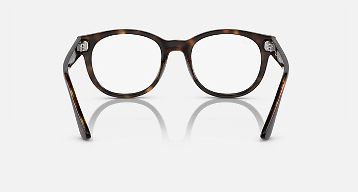 RB7227 OPTICS Eyeglasses with Havana and Clear (53-21) - RB7227F