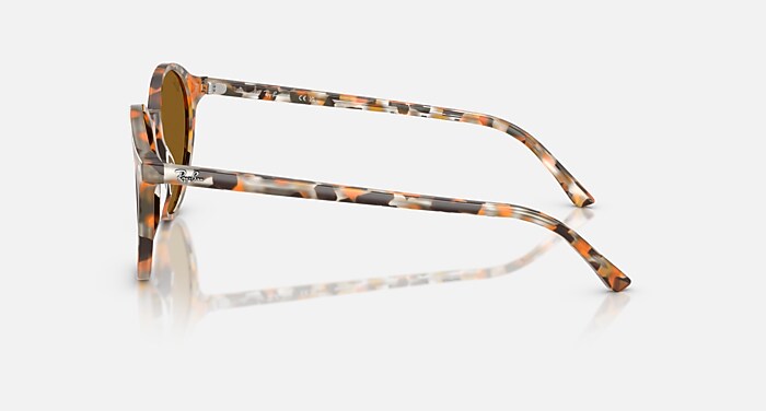 RB2230 Sunglasses in Havana Grey & Brown and Brown - RB2230F | Ray
