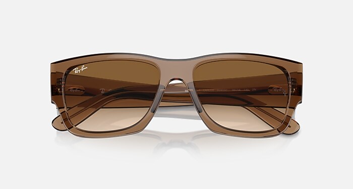 CARLOS サングラス 透明ライトブラウン と Clear & Brown (56-18