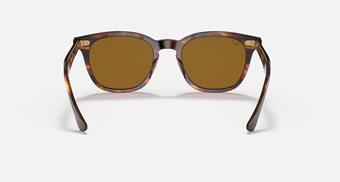 HAWKEYE Sunglasses in Transparent Blue and Brown (54-21) - RB2298F