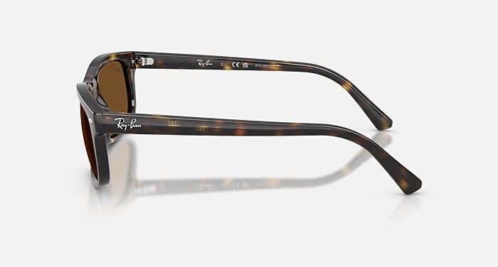 レイバン公式ストア】 Ray-Ban® RB2224 サングラス | ハバナ X 偏光