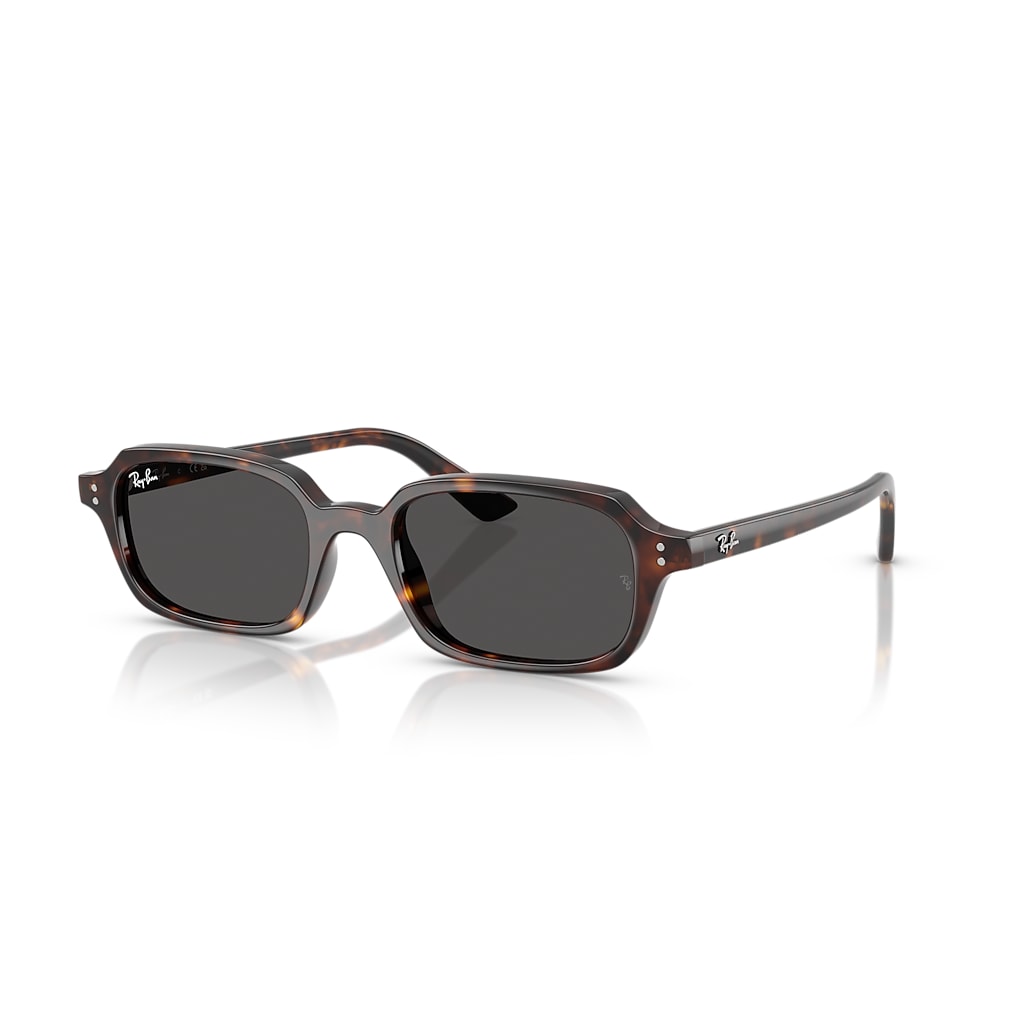 ZURI BIO-BASED Sunglasses in Havana and Dark Grey - RB4455 | Ray