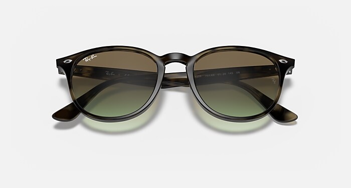 RB4259 Sunglasses in Grey Havana and Brown Gradient - RB4259 | Ray