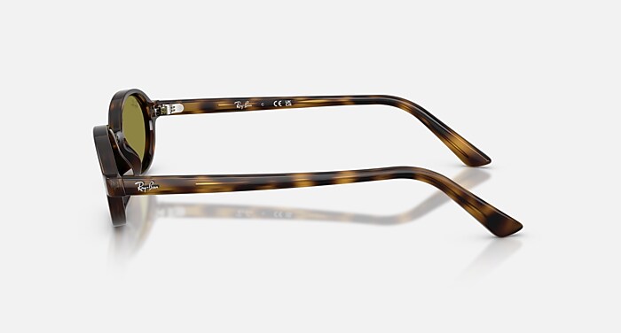 KHAL BIO-BASED Sunglasses in Havana and Green (51-20 