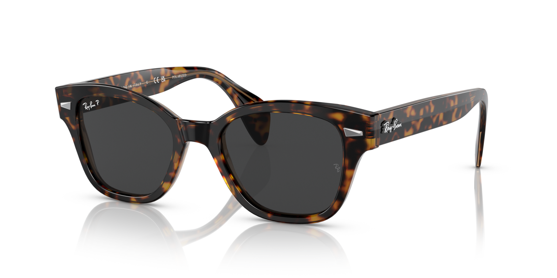 Ray-Ban RB0880S