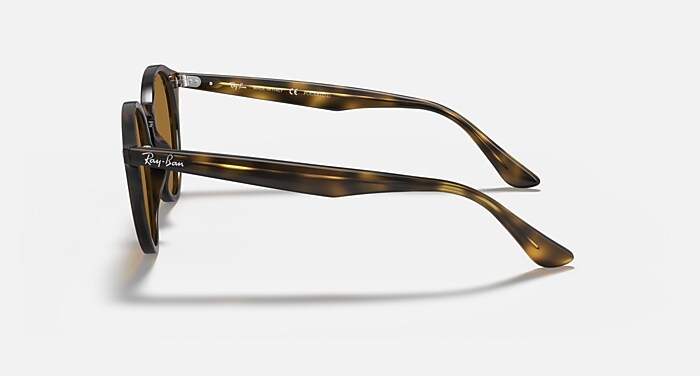 RB2180 Polarized Sunglasses in Light Havana and Brown Polarized