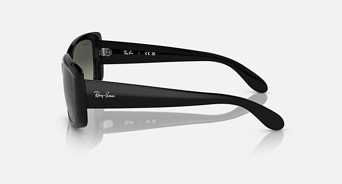 レイバン公式ストア】 Ray-Ban® RB4389 サングラス | ブラック X