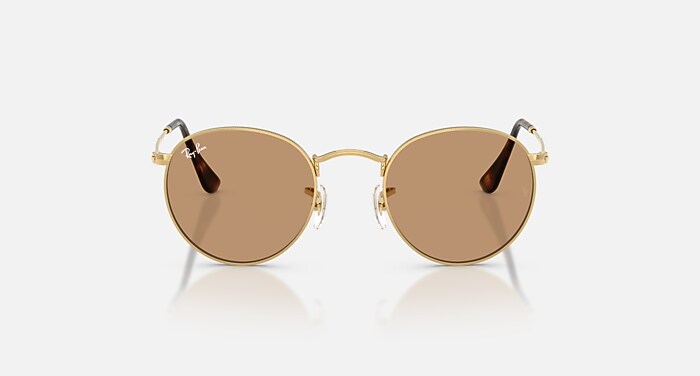 ROUND METAL Sunglasses in Arista and Brown (47-21) - RB3447 | Ray
