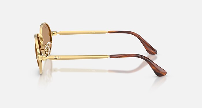 RB3931 BY A$AP ROCKY Sunglasses in Arista Gold and Brown (54-21