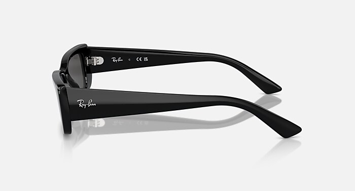 TERU BIO-BASED Sunglasses in Black and Dark Grey (54-17) - RB4425