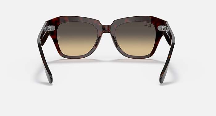 STATE STREET Sunglasses in Havana On Transparent Pink and Brown