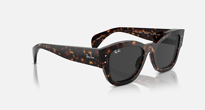 JORGE Sunglasses in Havana and Black Polarized - RB7681S | Ray-Ban