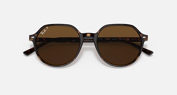 THALIA Polarized Sunglasses in Havana and Brown Polarized (53-18