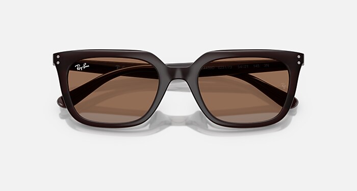 レイバン公式ストア】 Ray-Ban® RB4439D サングラス | オパール 