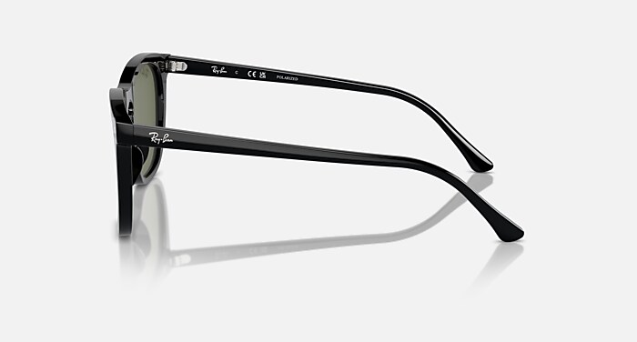 RB2210 Polarized Sunglasses in Black and Green Polarized (53-21