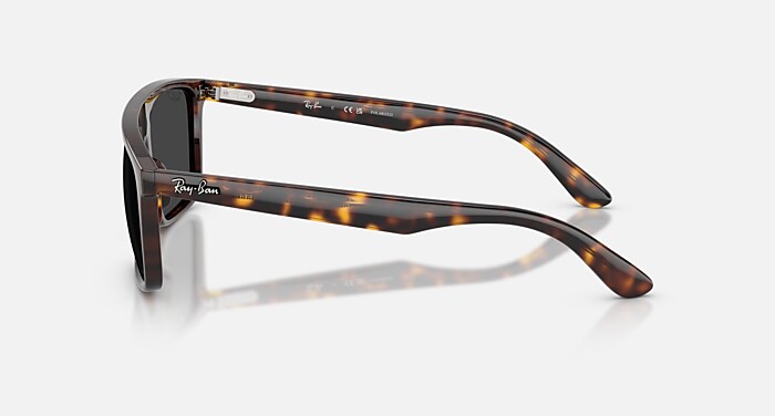 RB2222 Polarized Sunglasses in Havana and Polarized Black (55-20