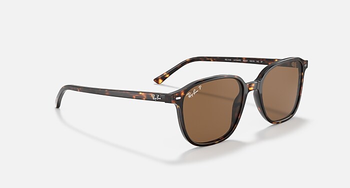 LEONARD Polarized Sunglasses in Tortoise and Brown Polarized (53