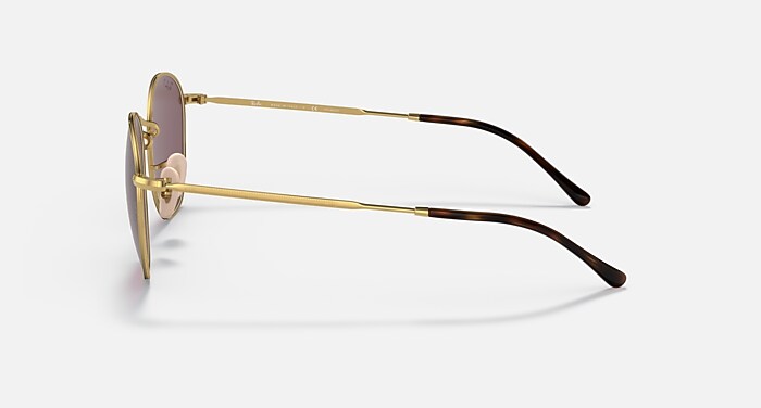 レイバン公式ストア】 Ray-Ban® ROB サングラス | アリスタゴールド X