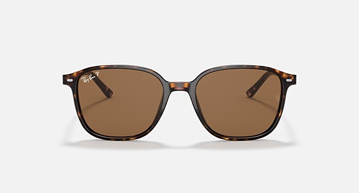 LEONARD Polarized Sunglasses in Tortoise and Brown Polarized (53