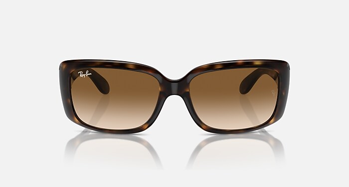 RB4389 Sunglasses in Havana and Clear Brown (58-17) - RB4389 | Ray