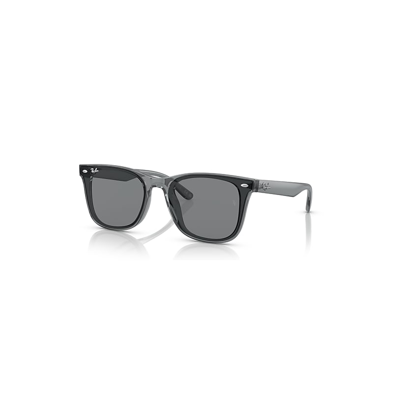 Ray-Ban Rb4391d Sunglasses Transparent Grey Frame Grey Lenses 65-18