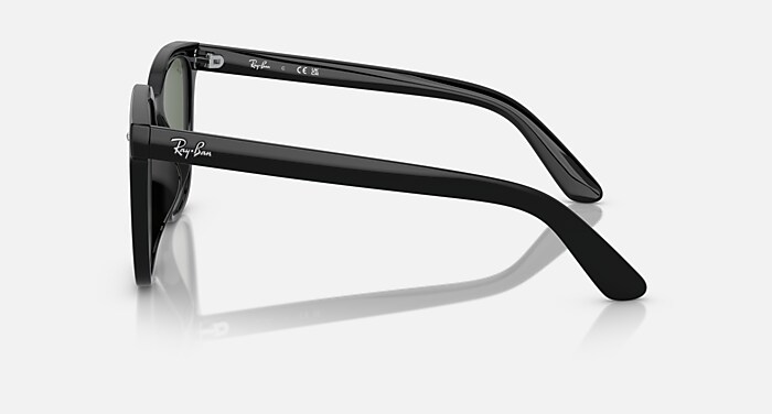 レイバン公式ストア】 Ray-Ban® RB4401D サングラス | ブラック X 