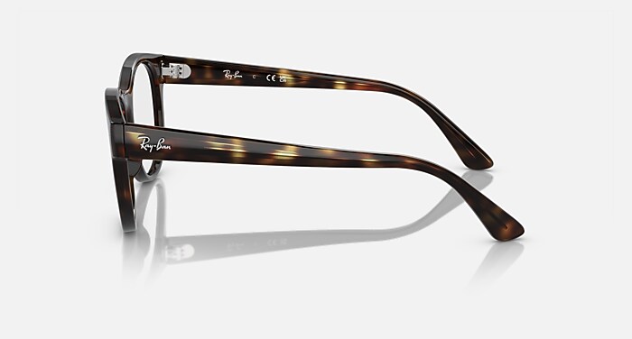 RB7227 OPTICS Eyeglasses with Havana and Clear (53-21) - RB7227F