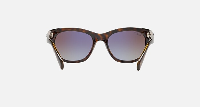 RB4216 Polarized Sunglasses in Light Havana and Brown 