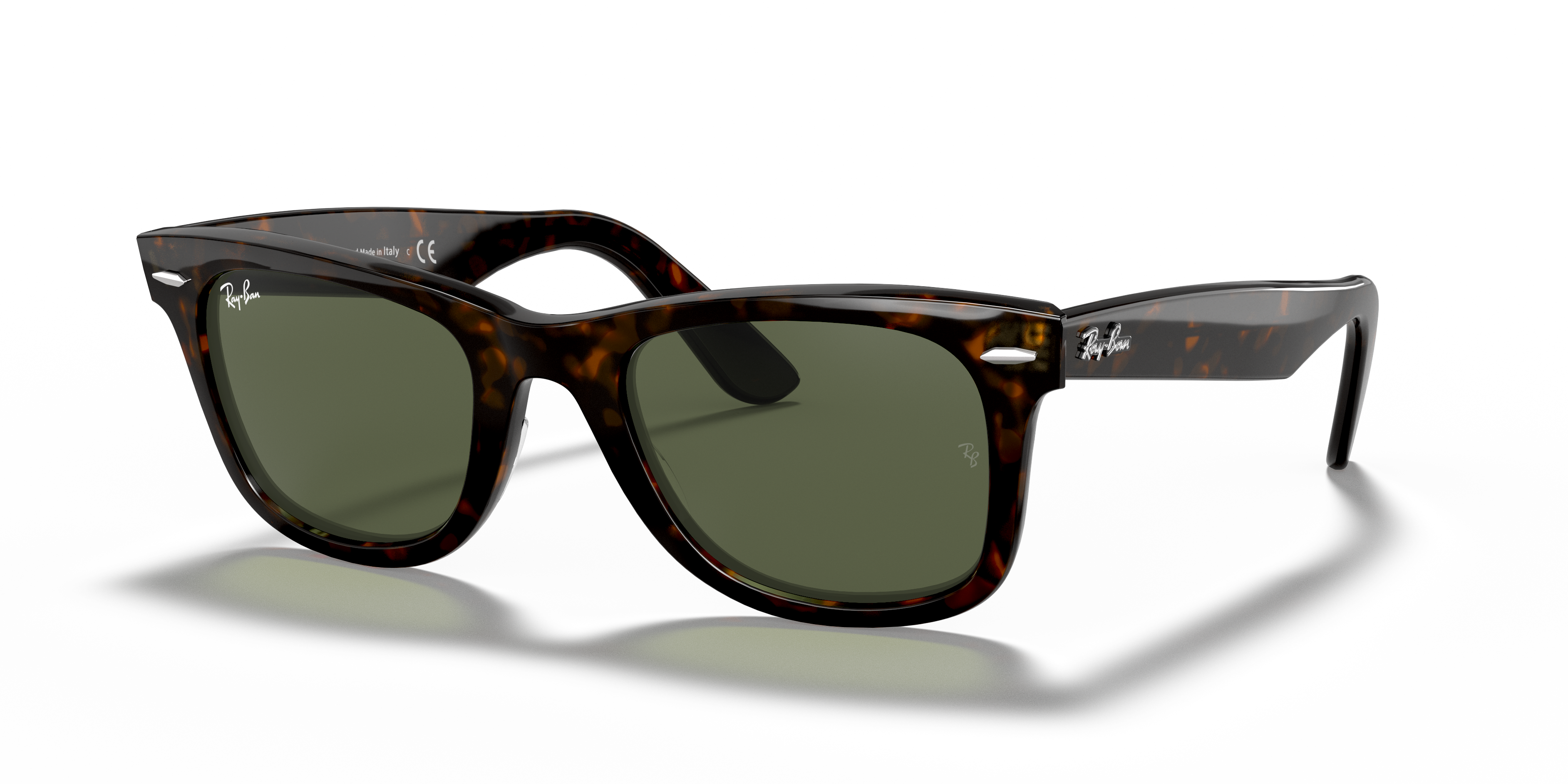 ORIGINAL WAYFARER CLASSIC Sunglasses in Tortoise and G-15 Green