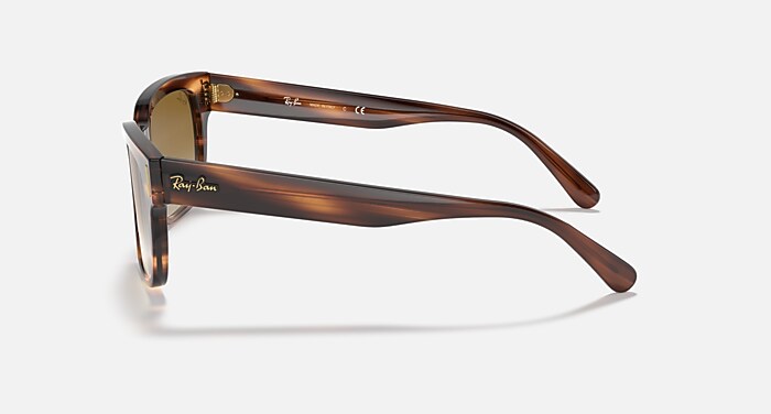 JEFFREY Sunglasses in Striped Havana and Light Brown Gradient