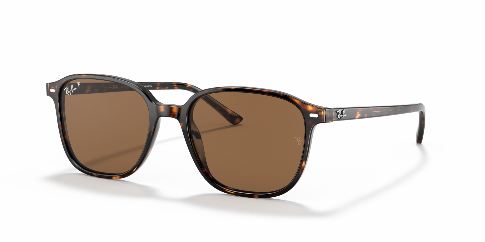 LEONARD Polarized Sunglasses in Tortoise and Brown Polarized (53