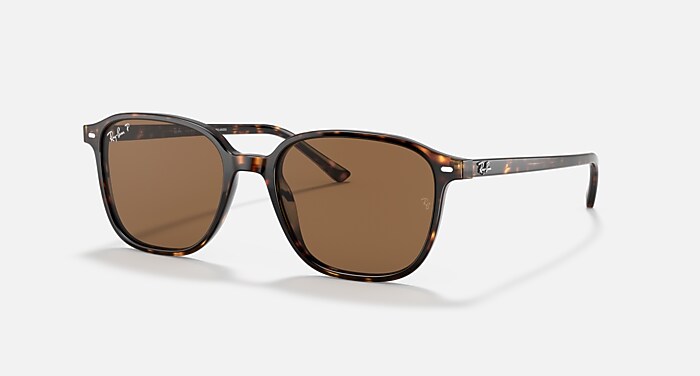 LEONARD Sunglasses in Tortoise and Brown Polarized - RB2193 | Ray