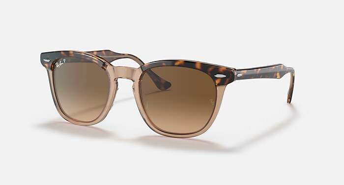 HAWKEYE Sunglasses in Havana On Transparent Brown and Brown