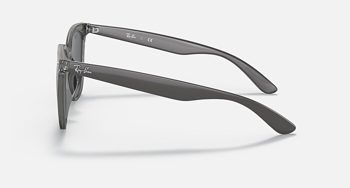 RB4379D Sunglasses in Transparent Grey and Dark Grey (55-19