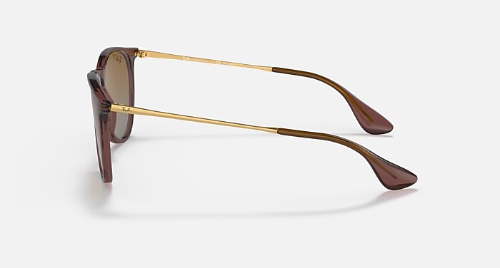 ERIKA CLASSIC Polarized Sunglasses in Transparent Dark Brown  display picture 3