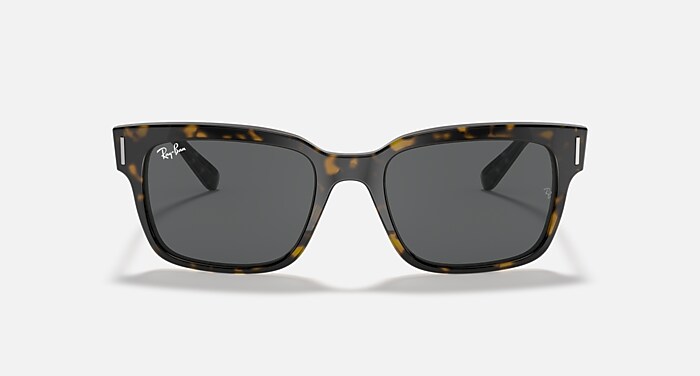 JEFFREY Sunglasses in Havana On Transparent Brown and Dark Grey