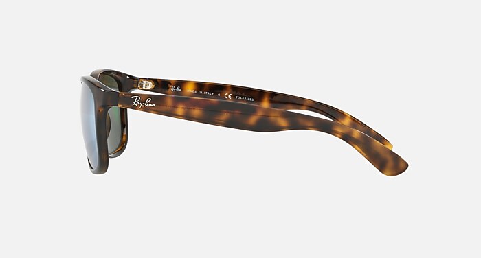 ANDY Polarized Sunglasses in Havana and Silver Polarized (57-17