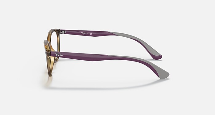 RB1612 OPTICS KIDS Polarized Eyeglasses with Havana and Clear (48