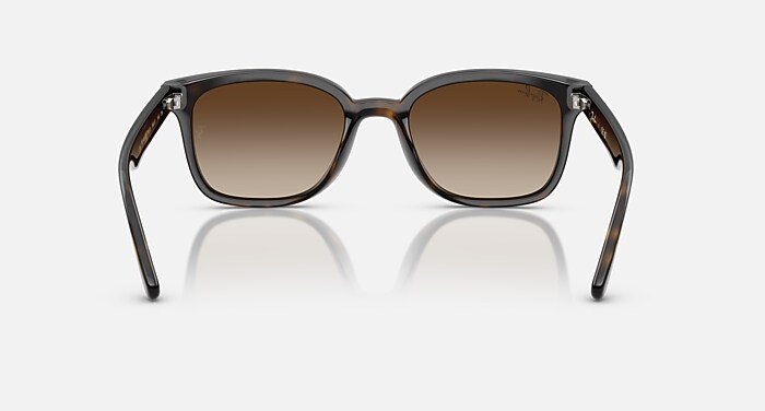 レイバン公式ストア】 Ray-Ban® RB4461D サングラス | ハバナ X 諧調 