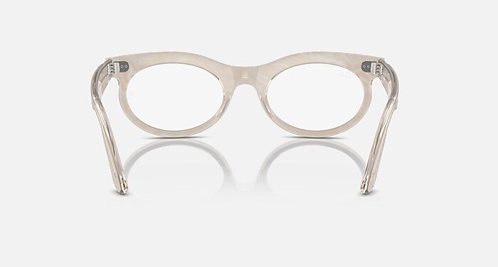 WAYFARER OVAL OPTICS CHANGE Eyeglasses with Photo Waves Grey and
