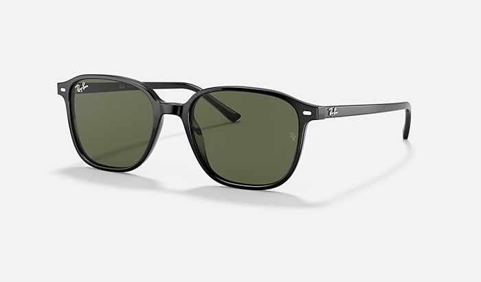 Ray-Ban Leonard Sunglasses in Polished Black and G-15 Green (RB2193)