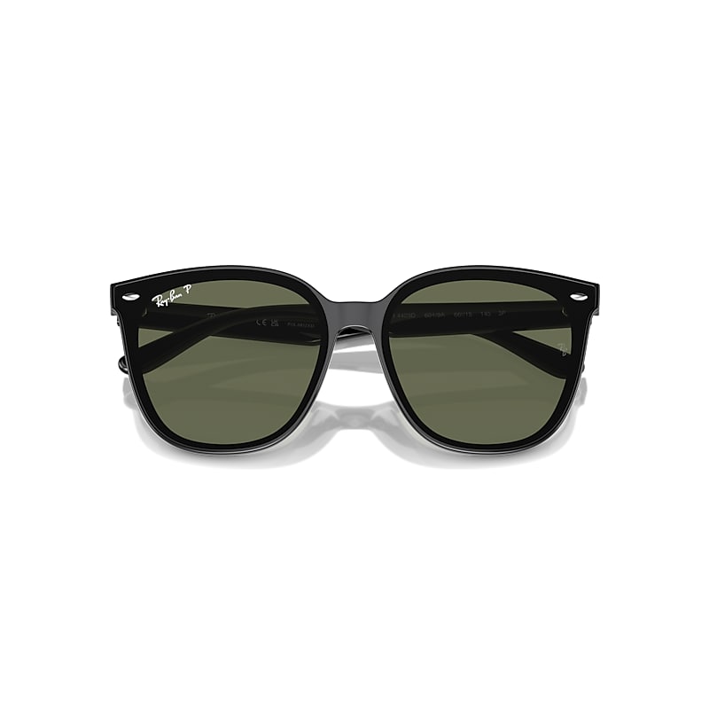 RB4423D Polarized Sunglasses in Black and Dark Green Polarized (66