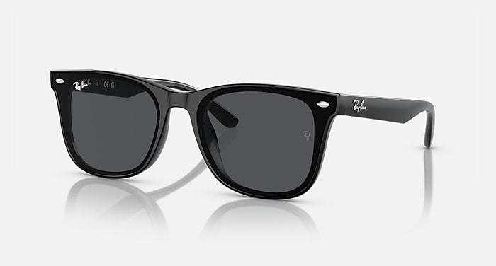 レイバン公式ストア】 Ray-Ban® RB4420 サングラス | ブラック X 