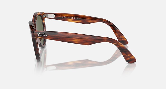 WAYFARER WAY Polarized Sunglasses in Striped Havana and Green