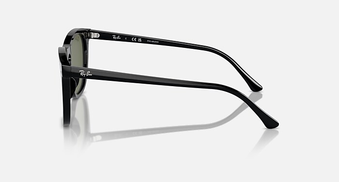 RB2210 Polarized Sunglasses in Black and Green Polarized (53-21