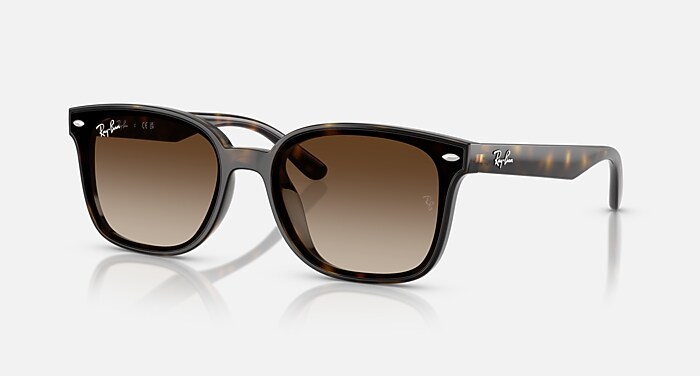 RB4461D Sunglasses in Havana and Gradient Brown - RB4461D | Ray 
